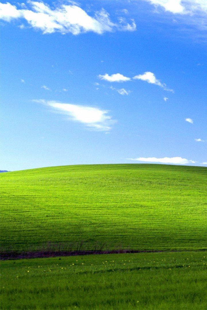Remember That Classic Windows Wallpaper? Here’s What It Actually Looks Like
