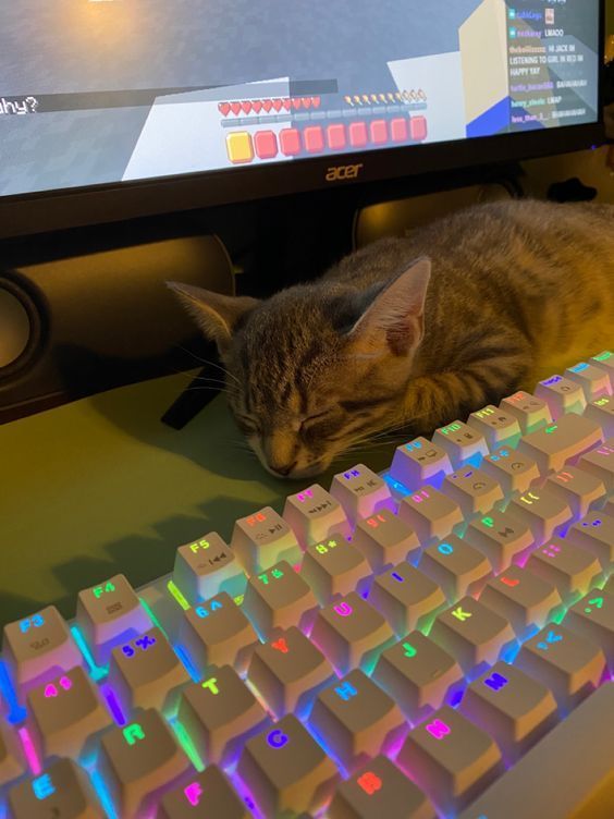 Mechanical Gaming Keyboard Rainbow LED